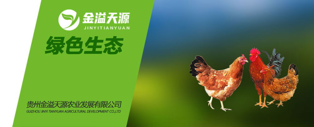 關(guān)于我們